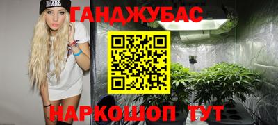 дживик Гатчина